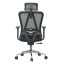 Kancelářská ergonomická židle Neoseat BOROSI — černá, nosnost 150 kg