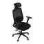 Kancelářská ergonomická židle NOKA — síť / látka, černá, nosnost 150 kg