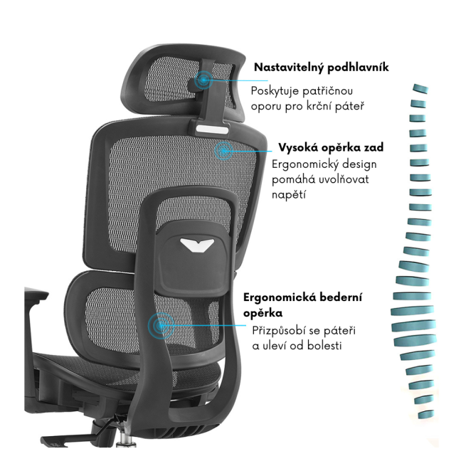 Kancelářská ergonomická židle Neoseat GARY FULLMESH — černá, nosnost 150 kg