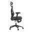 Kancelářská ergonomická židle ZANE s podnožkou — síť / látka, šedá