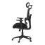 Kancelářská ergonomická židle TRAGEL — síť / látka, černá