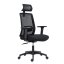 Kancelářská ergonomická židle DELFO — síť / látka, černá