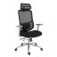 Kancelářská ergonomická židle Neoseat ALLY WHITE — černá / bílá, nosnost 150 kg