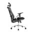 Kancelářská ergonomická židle Neoseat THOMAS — síť / látka, černá, nosnost 150 kg
