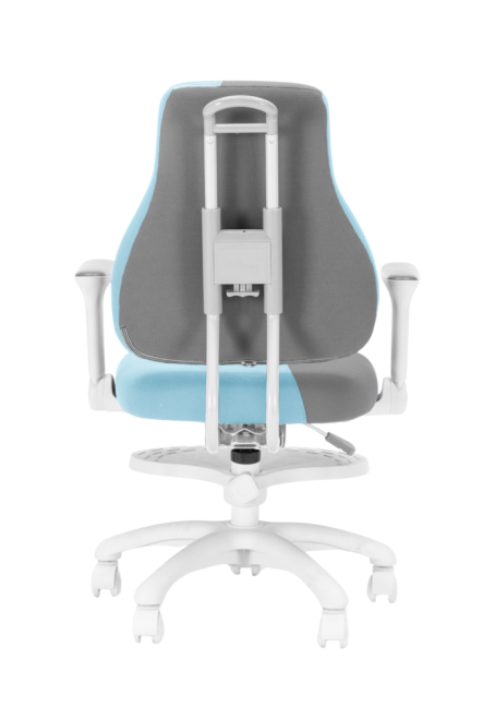 Dětská rostoucí židle Neoseat KINDER WHITE PLUS — látka, šedá / světle modrá