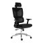 Kancelářská ergonomická židle Neoseat CALVANI — černá, nosnost 150 kg