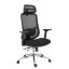 Kancelářská ergonomická židle Neoseat ALLY — síť / látka, černá, nosnost 150 kg