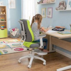Dětská rostoucí židle Neoseat KINDER WHITE PLUS — látka, šedá / zelená