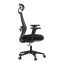 Kancelářská ergonomická židle NOKA — síť / látka, černá, nosnost 150 kg