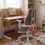 Dětská rostoucí židle Neoseat KINDER WHITE PLUS — látka, šedá / světle růžová
