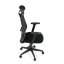 Kancelářská ergonomická židle NOKA — síť / látka, černá, nosnost 150 kg