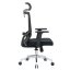 Kancelářská ergonomická židle Neoseat BRENDA — černá, nosnost 150 kg
