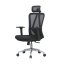 Kancelářská ergonomická židle Neoseat BOROSI — síť / látka, černá, nosnost 150 kg